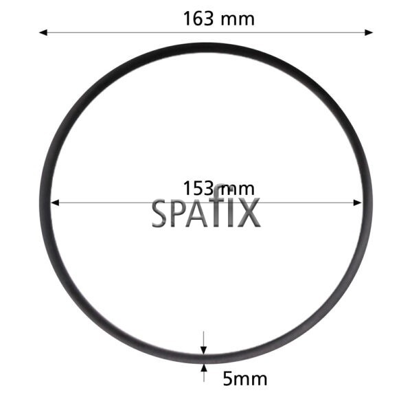 4505049 Hydropool brominator o ring dimensions