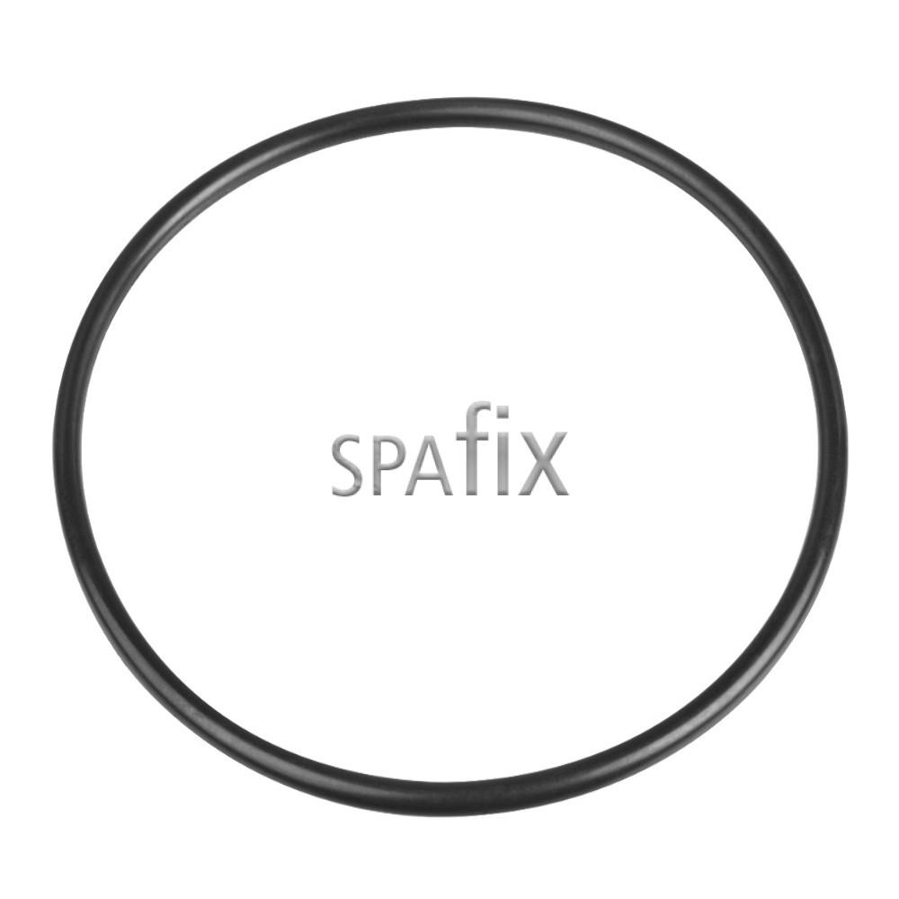 O-ring til 2" omskifterventil – Waterway 805-0143