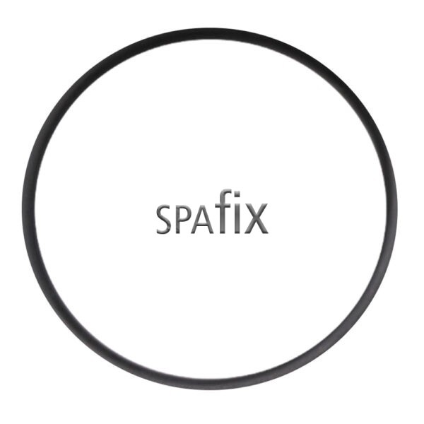 805 0261 Waterway Executive faceplate o ring