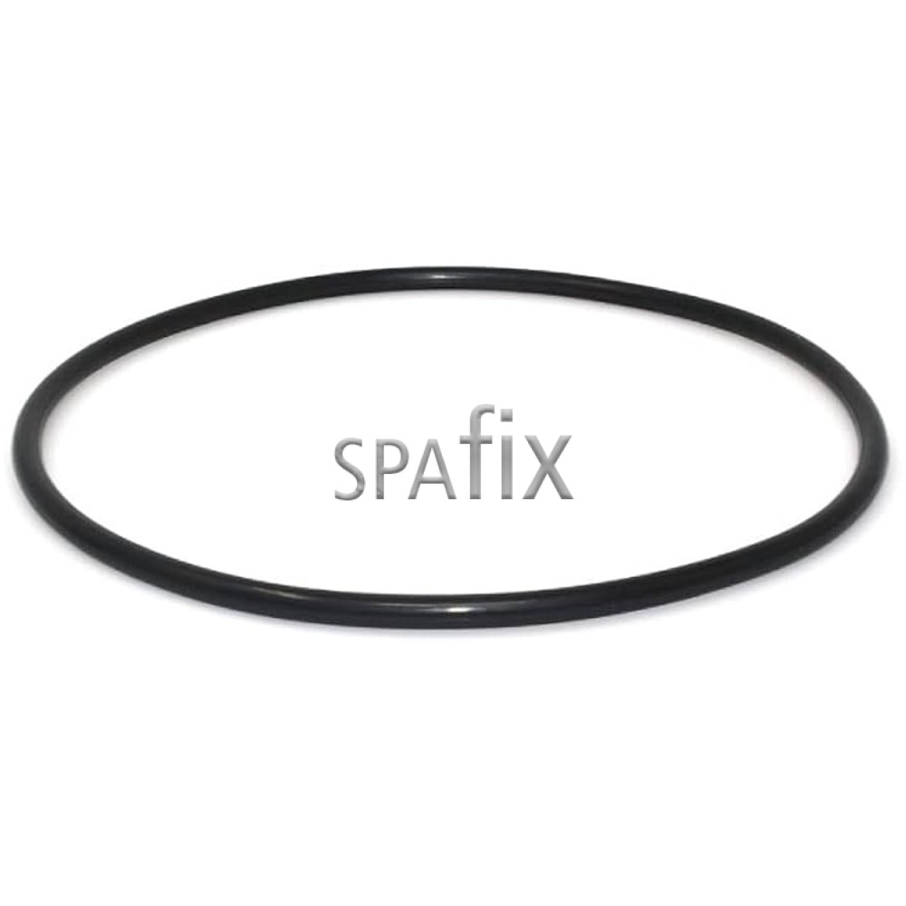 R172540 pentair filter låg stor o ring
